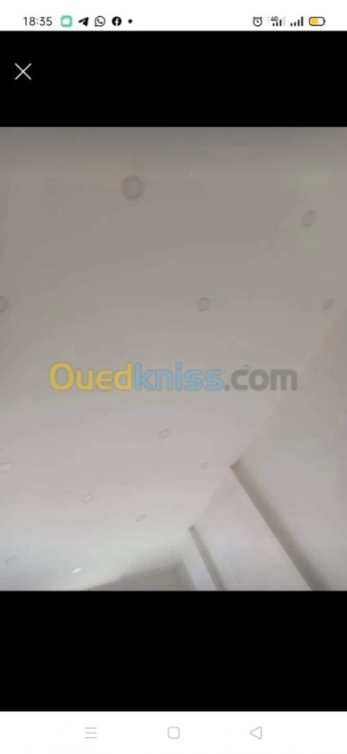 Vente Local Alger Saoula