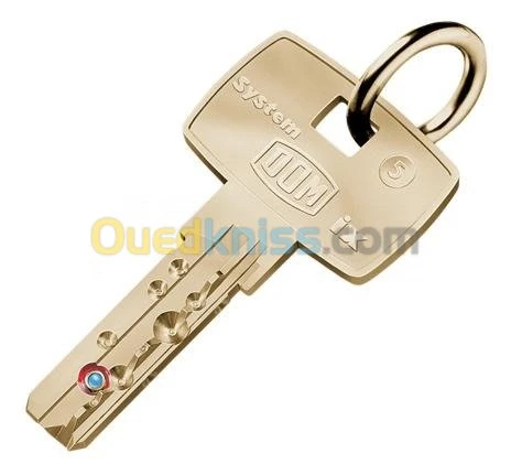 clé minute serrure plaque auto serrurier