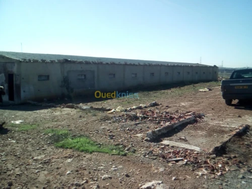 Récupération et recyclage de toudéchet