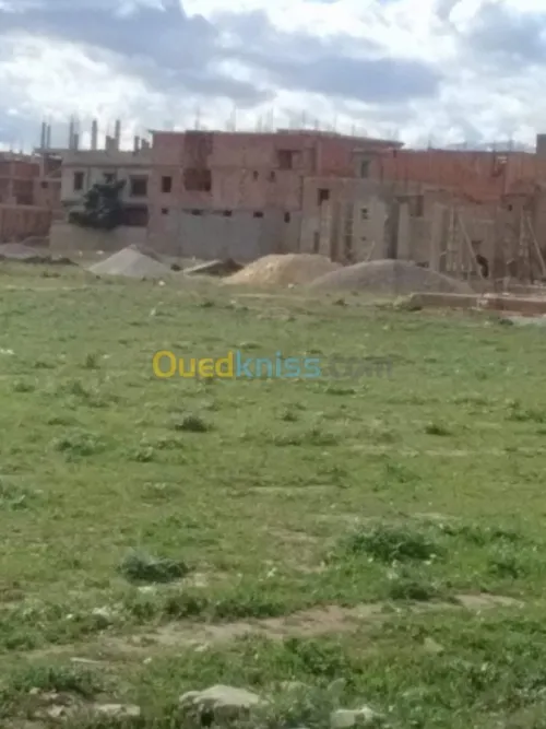 Vente Terrain Blida Larbaa