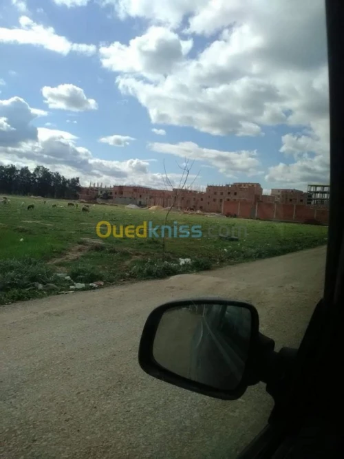 Vente Terrain Blida Larbaa
