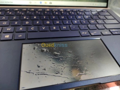 ZenBook UX434F i7 10é 1To Tactil MX250