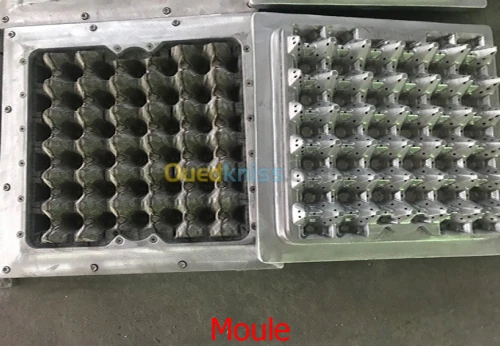 Ligne De Production De Plateaux A Oeuf