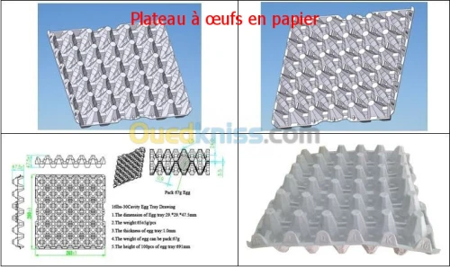 Ligne De Production De Plateaux A Oeuf