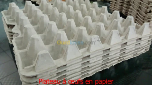 Ligne De Production De Plateaux A Oeuf