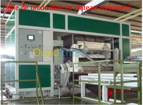 Ligne De Production De Plateaux A Oeuf