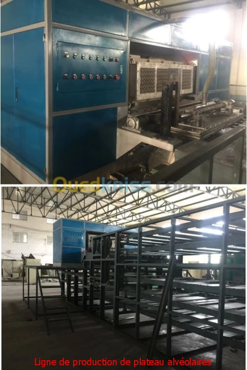 Ligne De Production De Plateaux A Oeuf