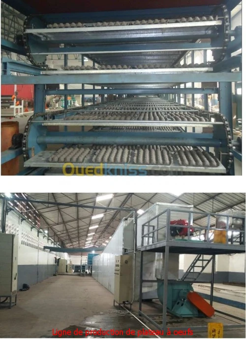 Ligne De Production De Plateaux A Oeuf