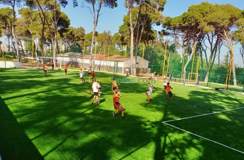 Académie / École de football 