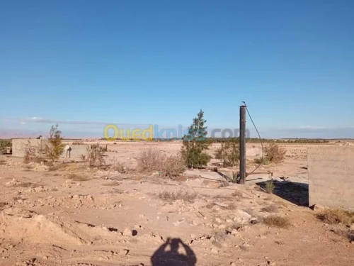 Vente Terrain Biskra Doucen
