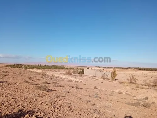 Vente Terrain Biskra Doucen