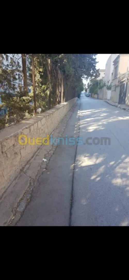 Vente Villa Constantine Constantine