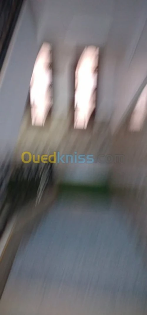 Vente Villa Alger Bordj el kiffan