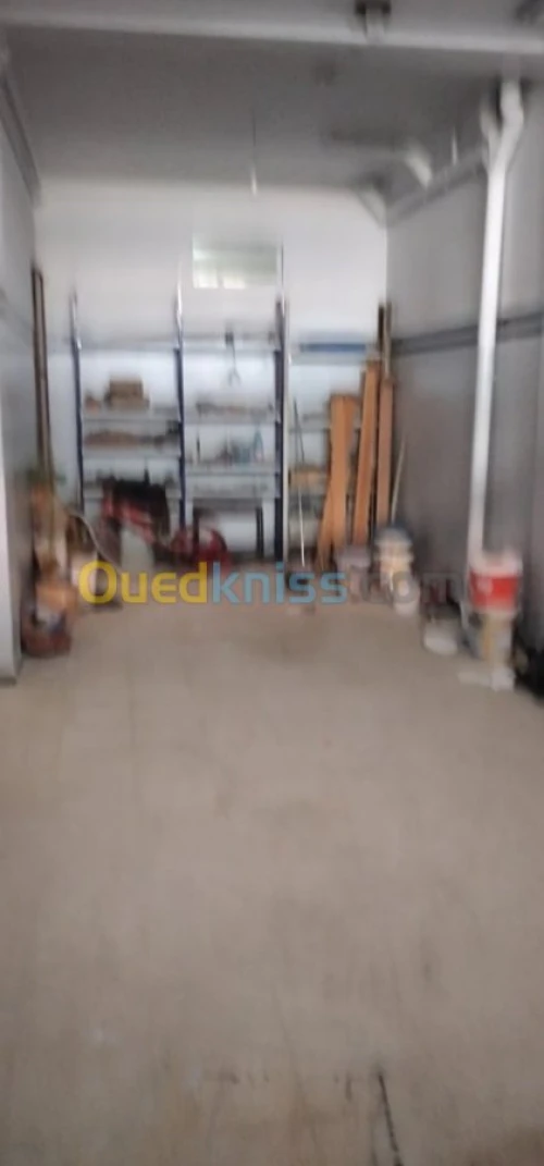 Vente Villa Alger Bordj el kiffan