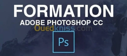 Formation Infographie