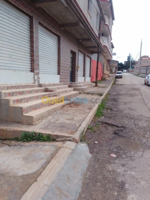 Location Local Tipaza Hadjout