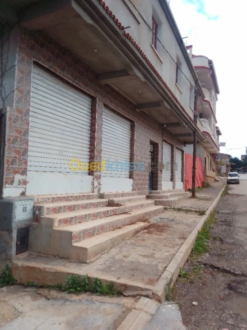 Location Local Tipaza Hadjout