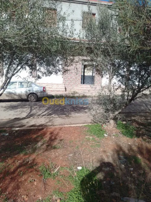 Location Local Tipaza Hadjout