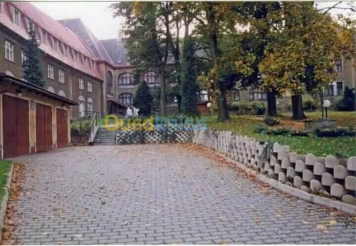 Atalus