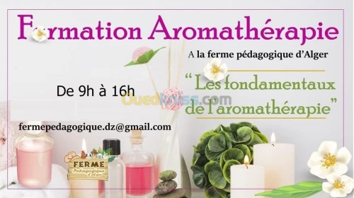 Formation Aromathérapie