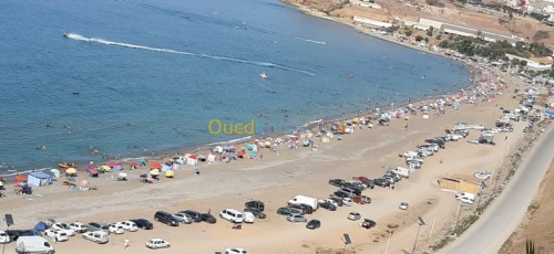 Vente Terrain Tlemcen Souk tlata