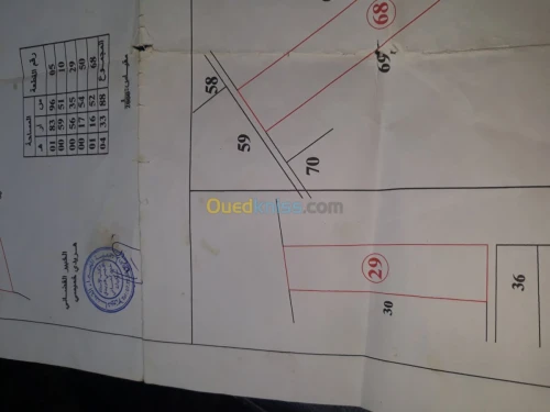 Vente Terrain Oum el bouaghi Ain beida