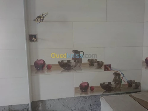 pvc placoplatre electricité  peinture 