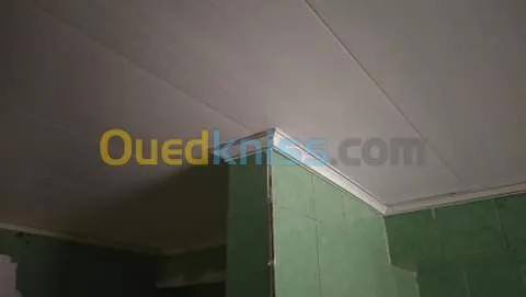 pvc placoplatre electricité  peinture 