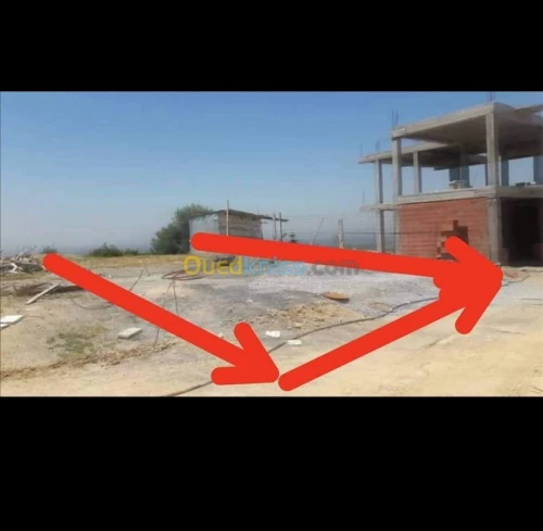 Vente Terrain Blida Bouarfa
