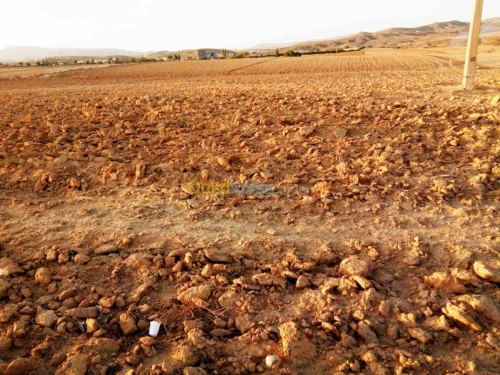 Vente Terrain Bordj bou arreridj Bordj bou arreridj