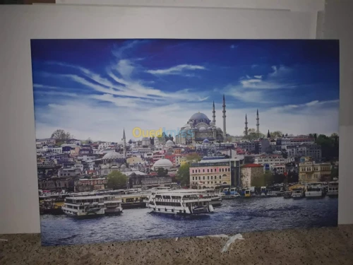 Habillage vitrine et aluco