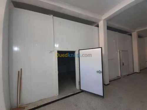 Location bien immobilier Setif Ain arnat