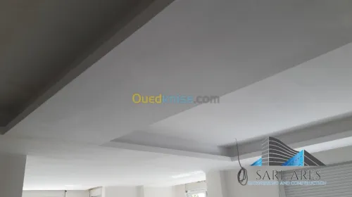 Placo BA 13 Faux Plafond Décoration