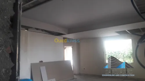 Placo BA 13 Faux Plafond Décoration
