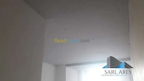 Placo BA 13 Faux Plafond Décoration