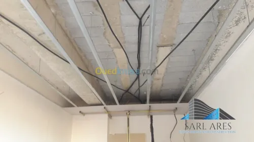 Placo BA 13 Faux Plafond Décoration