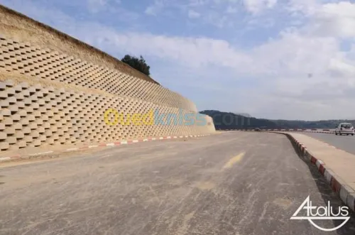 Vente bien immobilier Setif Guidjel