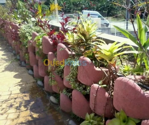 Vente bien immobilier Setif Guidjel