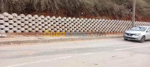 Vente bien immobilier Setif Guidjel