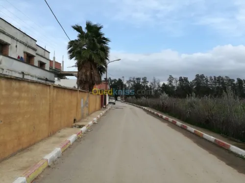 Vente Terrain Boumerdes Hammedi
