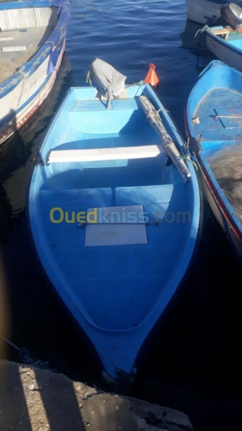 Barque Barque 4m80 