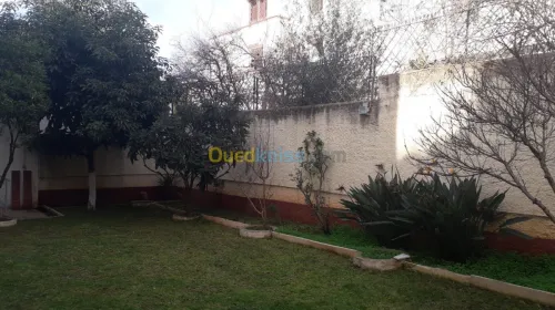 Location Villa Alger Cheraga