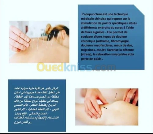 Médecin omnipraticien assermentée 