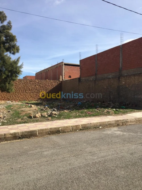 Vente Terrain Sidi bel abbes Merine