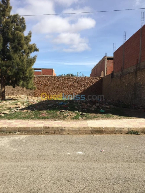 Vente Terrain Sidi bel abbes Merine