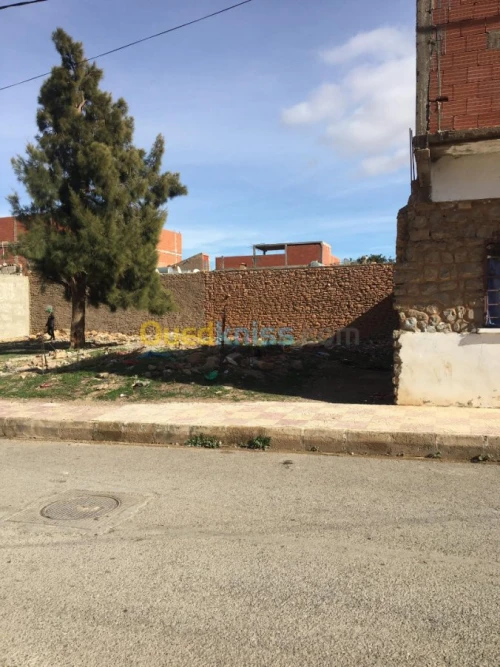 Vente Terrain Sidi bel abbes Merine