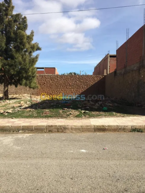 Vente Terrain Sidi bel abbes Merine