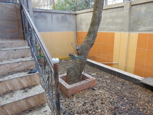 Vente Appartement F2 Setif Setif
