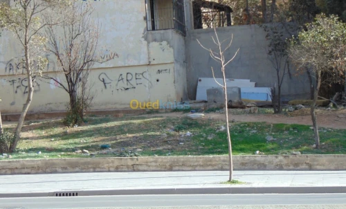 Vente Appartement F2 Setif Setif