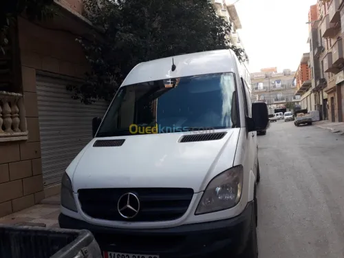 نقل البضائع 